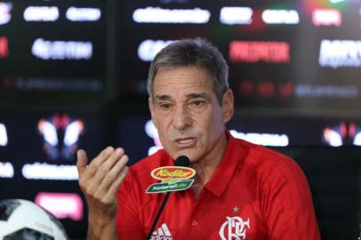 paulo césar carpegiani, flamengo