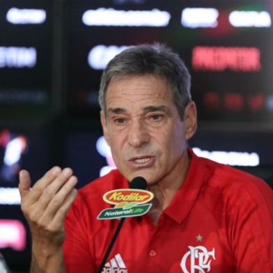 paulo césar carpegiani, flamengo