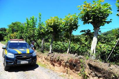  MONTE BELO DO SUL, RS, BRASIL, 08/02/2018.Brigada Militar e PRF seguem as buscas em Monte Belo do Sul, aos assaltantes que atacaram carro-forte na manhã de terça-feira (06/02). (Porthus Junior/Agência RBS)