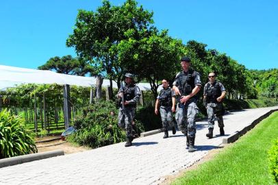  MONTE BELO DO SUL, RS, BRASIL, 08/02/2018.Brigada Militar e PRF seguem as buscas em Monte Belo do Sul, aos assaltantes que atacaram carro-forte na manhã de terça-feira (06/02). (Porthus Junior/Agência RBS)