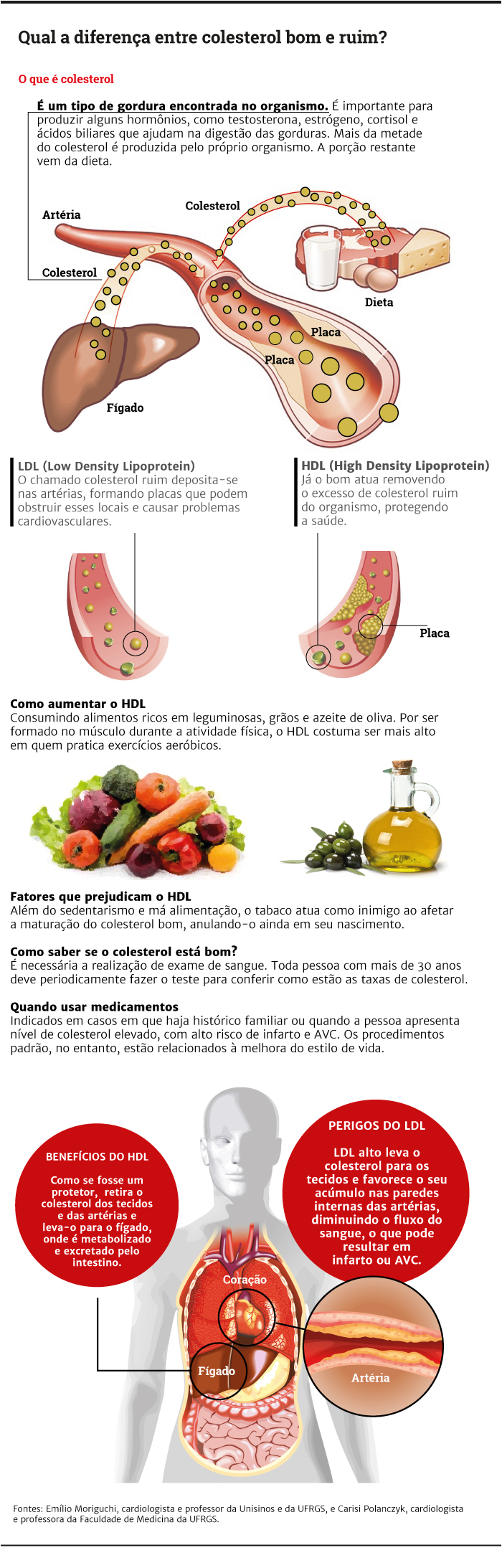 Colesterol bom e ruim: entenda a diferença entre eles – LabVital