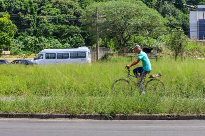  PORTO ALEGRE, RS, BRASIL, 07/02/2018 : Capina em janeiro foi menos da metade do previsto em Porto Alegre. Serviço deve ser regularizado até fim de março, diz secretário de Serviços Urbanos. (Omar Freitas/Agência RBS)Indexador: Omar Freitas