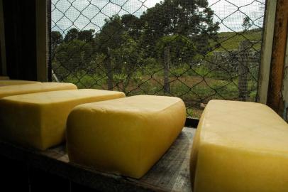 PECUÁRIA FAMILIAR QUEIJO SERRANO GADO DE CORTE cavalos mala de garupa 2009