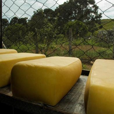 PECUÁRIA FAMILIAR QUEIJO SERRANO GADO DE CORTE cavalos mala de garupa 2009