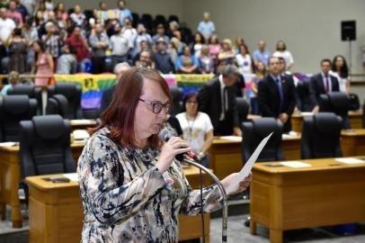 Vereadora suplenteLuísa Stern (PT) toma posse