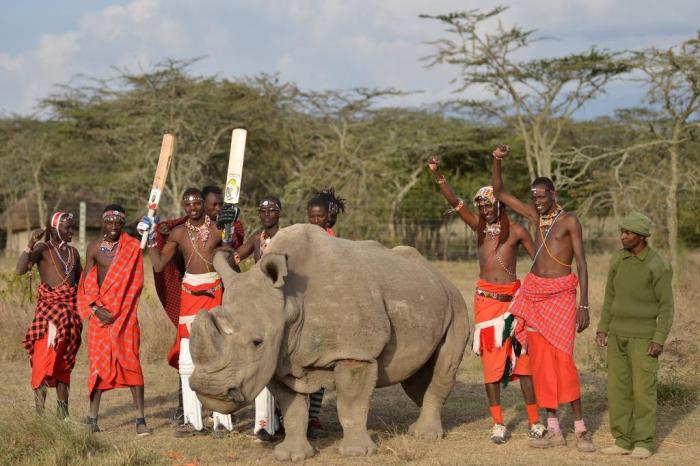 Tony Karumba / AFP