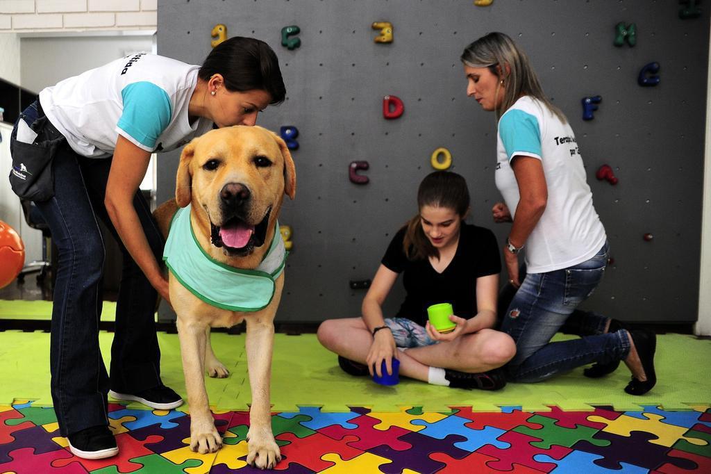 Cãoterapia e cão ouvinte: animais adestrados mudam realidade de moradores  da serra gaúcha | GZH