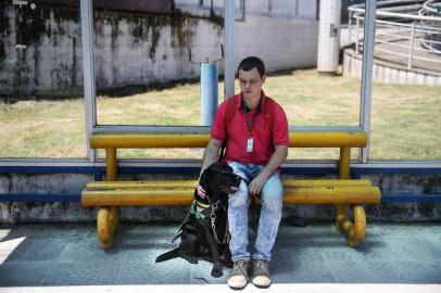  FLORIANÓPOLIS, SC, BRASIL - 30/01/2018Como surgem os cães-guias. Na foto, Augusto Matias, deficiente visual, e sua labradora, cão-guia, Angra