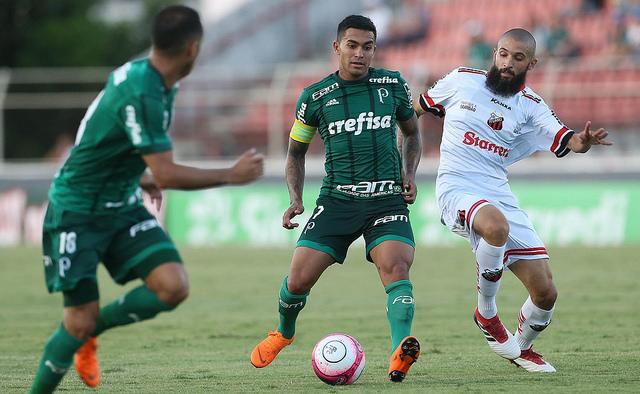 Palmeiras / Divulgação