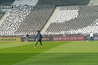 geromel, seleção brasileira, treino