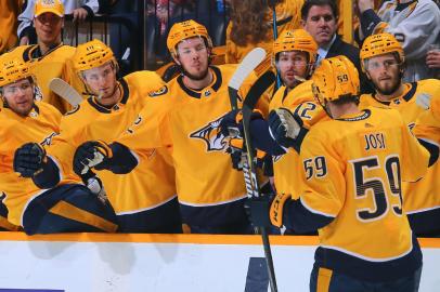 nashville predators, nhl