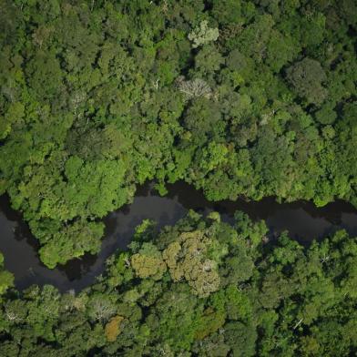 amazonia, reserva amazônia, wwf-brasil. renca, Estação Ecológica do Jari