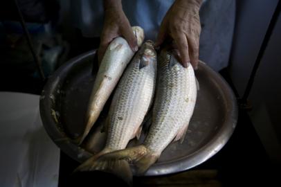 Feira do Peixe de Porto Alegre 2018