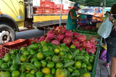 A Feira Ecológica de Caxias do Sul abrirá normalmente neste sábado. O atendimento ocorre das 6h30min às 11h30min, na Praça das Feiras, entre a Avenida Rio Branco e a Rua Feijó Júnior, no bairro São Pelegrino. Participam 20 bancas de agricultores de Caxias do Sul, Ipê, Bom Princípio, Antônio Prado, Montenegro, Nova Roma do Sul e Torres, todos integrantes da Rede Ecovida de Agroecologia. Toda quarta-feira, a Feira Ecológica atende na Rua Santos Dumont, bairro Lourdes, das 12h às 18h