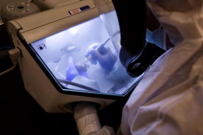 BONES-ZIMMER-ART-NSPR-032718Jonas Oppenheimer, a technician in the lab of Harvard geneticist David Reich, sandblasts an ancient skull fragment to find the cochlea, or inner ear, in Boston on March 15, 2018. The cochlea is the area likeliest to retain DNA. (Kayana Szymczak/The New York Times)Editoria: ALocal: BOSTONIndexador: KAYANA SZYMCZAKFonte: NYTNSFotógrafo: STR