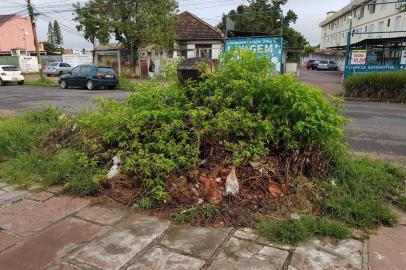 Moradora aguarda retirada de pedaços de árvore desde outubro do ano passado