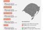 INFOGRÁFICO: confira as diferenças na produtividade da soja em 60 municípios do RS 