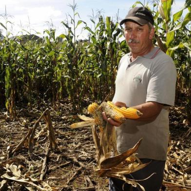 CAXIAS DO SUL, RS, BRASIL, 10/05/2018 - Javalis destróem lavoura de milho e causam prejuízos à produtores de Vila Seca, interior de Caxias do Sul. NA FOTO: o produtor rural Nestor Juarez dos Passos. (Marcelo Casagrande/Agência RBS)