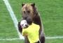 Time russo leva urso para animar abertura de jogo