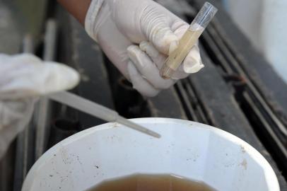  CAXIAS DO SUL, RS, BRASIL 16/12/2015Focos do mosquito da dengue em residências do bairro Centenário 1 em Caxias do Sul. (Felipe Nyland/Agência RBS)Indexador: Felipe Nyland                   