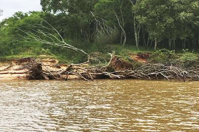 Extração de areia extensiva no Rio Jacuí tem resultado em danos ambientais como queda de árvores e de parte das margens para dentro do curso de água.