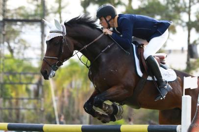 the best jump, hipismo