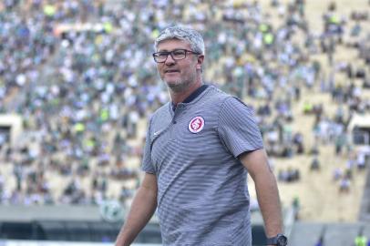 odair hellmann, inter, futebol, palmeiras