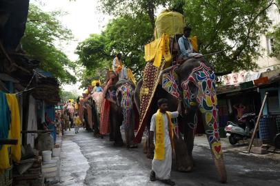  Indian devotees ride decorated elephants as they take part in the Lord Jagannath Jal Yatra in Ahmedabad on June 9, 2017. / AFP PHOTO / SAM PANTHAKYEditoria: RELLocal: AhmedabadIndexador: SAM PANTHAKYSecao: hinduismFonte: AFPFotógrafo: STR