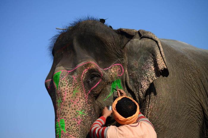 Shammi MEHRA / AFP