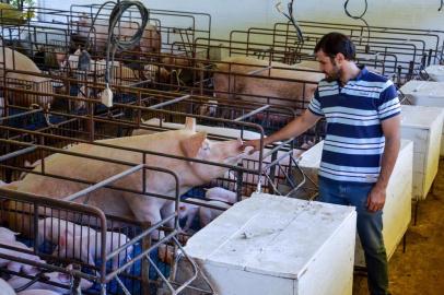  Chapecó, SC, Brasil, economia, crise suinocultura. 03/04/2018.Na foto o proprietário Félix Muraro Junior.*Créditos: Tarla Wolski