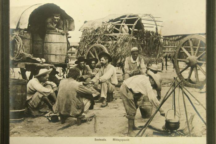 Bienal do Mercoul / Reprodução