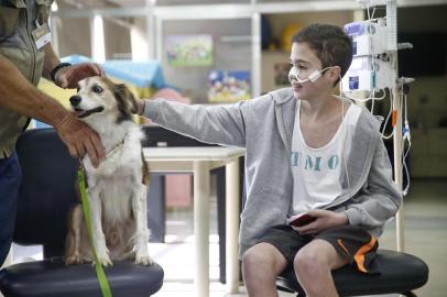  PORTO ALEGRE, RS, BRASIL - 2018.04.25 - Hospital de Clínicas leva a Pet Terapia para a la de câncer infantil. As crianças recebem a visita do cão Buzz e seu adestrador Jone Cardoso. Na foto: Kauan Cardoso Machado bricando com Buzz. (Foto: ANDRÉ ÁVILA/Agência RBS)