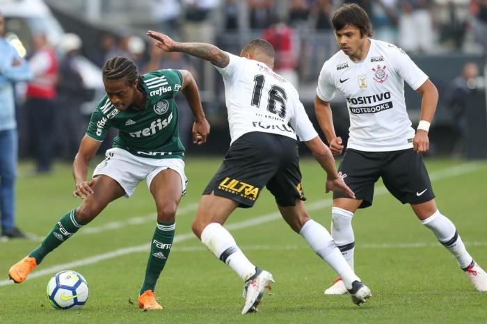 Palmeiras / Divulgação