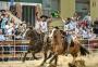 Como acompanhar a Copa do Mundo do cavalo crioulo em Esteio