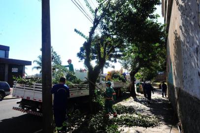  CAXIAS DO SUL, RS, BRASIL, 16/05/2018. Novo decreto da prefeitura de Caxias permite a moradores podar árvores no espaço público, mediante autorização. Entidades defensoras do meio ambiente questionam medida. Na foto, equipe da Codeca podando árvores na rua Matheo Gianella, próximo do colégio Santa Catarina. (Porthus Junior/Agência RBS)