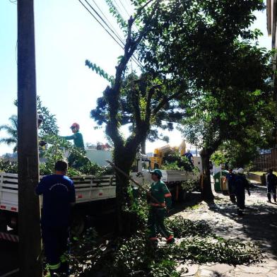  CAXIAS DO SUL, RS, BRASIL, 16/05/2018. Novo decreto da prefeitura de Caxias permite a moradores podar árvores no espaço público, mediante autorização. Entidades defensoras do meio ambiente questionam medida. Na foto, equipe da Codeca podando árvores na rua Matheo Gianella, próximo do colégio Santa Catarina. (Porthus Junior/Agência RBS)