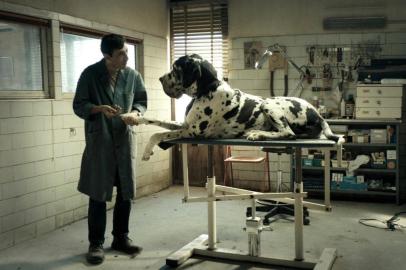 Dogman, filme de Matteo Garrone