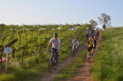 Tour do Vinho, passeio de bike pelas vinícolas de Flores da Cunha, na Serra