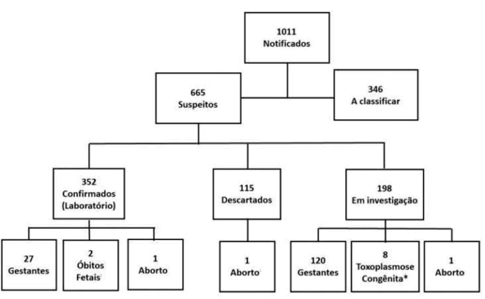 Secretaria Estadual de Saúde / Divulgação