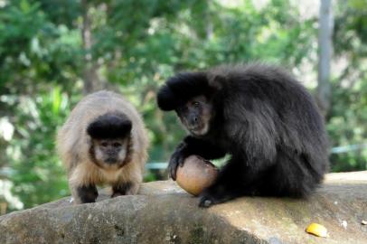 Gramadozoo reforça calorias na dieta de animais durante meses de frio na serra gaúcha em 22 de maio de 2018