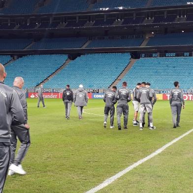 futebol, grêmio, arena, defensor