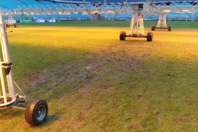 Gramado da arena do grêmio