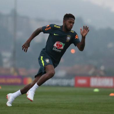 fred, seleção brasileira