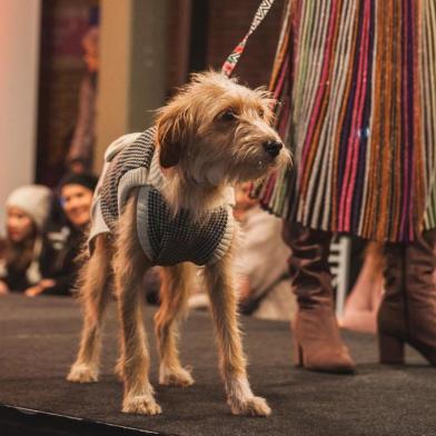 Mascote da Festimalha é a cadela Olívia, que foi adotada de uma ONG.