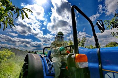  BENTO GONÇALVES, RS, BRASIL, 18-10-2013: Matéria sobre o uso de agrotóxicos. Na foto simulação de uso de agrotóxico na lavoura experimental da Embrapa.(Foto: Ricardo Duarte/Agência RBS/Economia)