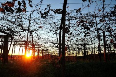  CAXIAS DO SUL, RS, BRASIL, 21/05/2018. Ambiental de clima frio e geada em Caxias do Sul. (Diogo Sallaberry/Agência RBS)