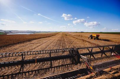  Cruz Alta, RS, BRASIL, 05/04/2018 : Campo e Lavoura - Colheita da Soja - Região Norte. (Omar Freitas/Agência RBS)Indexador: Omar Freitas