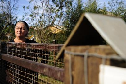  CAXIAS DO SUL, RS, BRASIL, 04/06/2018 - O Altos de Galópolis é um loteamento irregular que foi criado a partir de um reassentamento feito pelo governo do Estado de famílias que tiveram as áreas desapropriadas onde moravam, é um dos 350 loteamentos considerados irregulares em Caxias do Sul. Ministério Público moveu uma ação civil pública que tramita na justiça para tentar resolver a questão e implantar infraestrutura no local. NA FOTO: Rosa Ivone Bellini, 61 anos - moradora. (Marcelo Casagrande/Agência RBS)