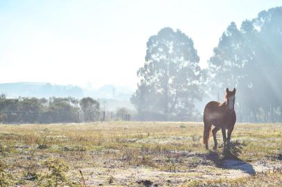  Frio em VacariaIndexador: Artur Alexandre                 