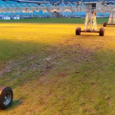 gramado da arena do grêmio